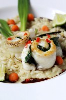 /album/galeria/a25-jpg/