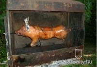 /album/galeria/a34-jpg/